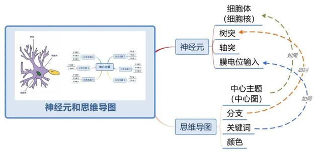 《世界十大学习方法》之思维导图