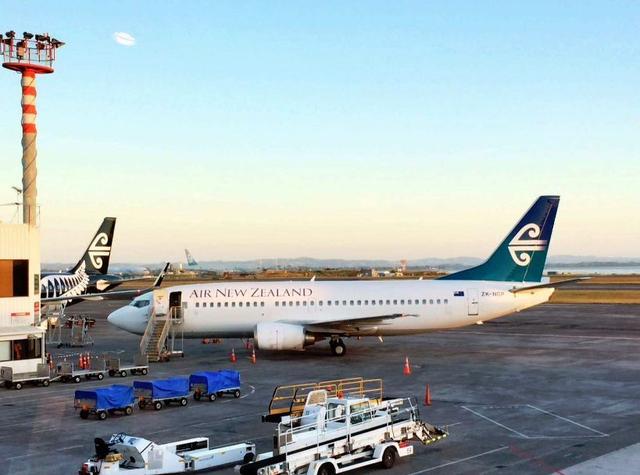 新加坡入境后有人接机吗