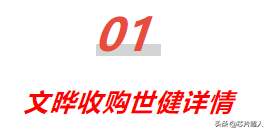 超10亿！文晔拟“收编”新加坡世健