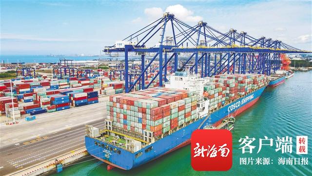 奋进新征程 逐梦自贸港·市县篇 | 洋浦：政策运用好 企业获益多