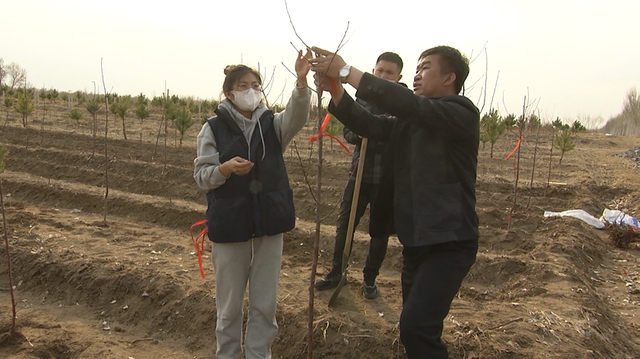 孙世民：扎根沃土播撒绿色 心向振兴林果产业