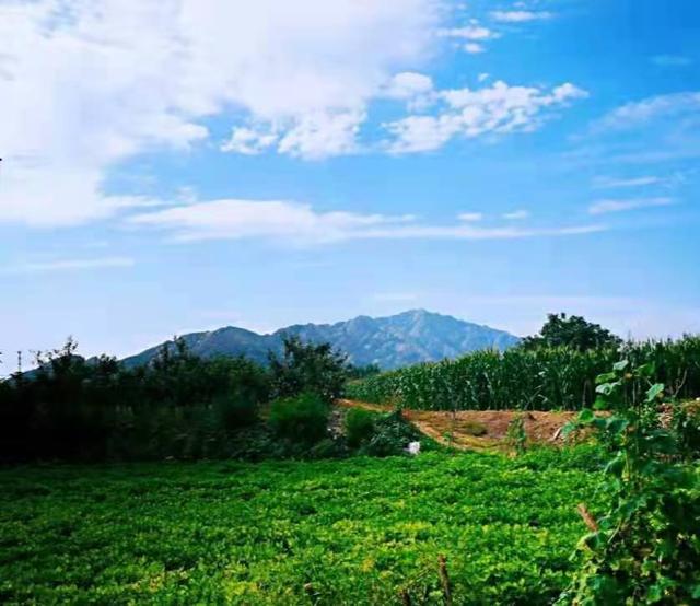 山海间｜龙口城市文化印记