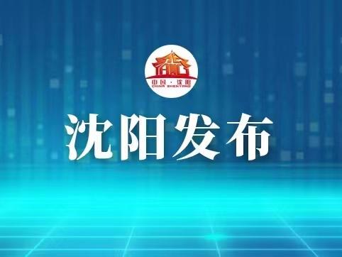 沈阳建设国家中心城市行动纲要