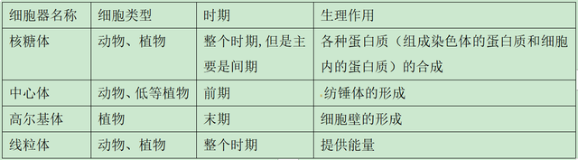 高中生物-细胞的生命历程