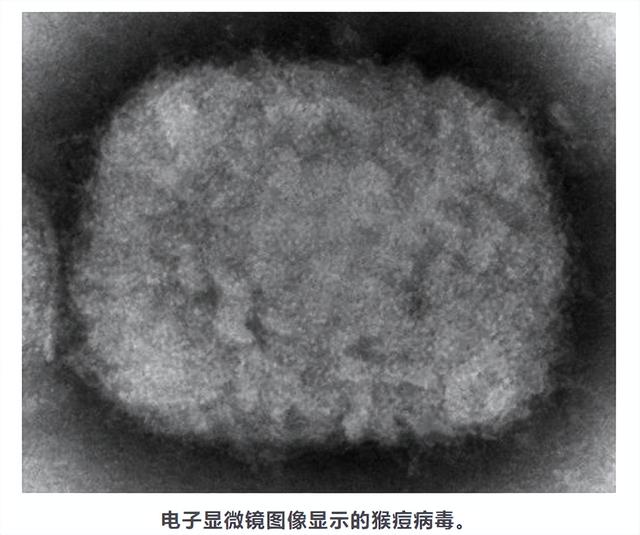 郑州发布102号通告/郑州出市政策调整/地铁1号线7座车站周末临时关闭/河南高考生考前7天起每天测核酸