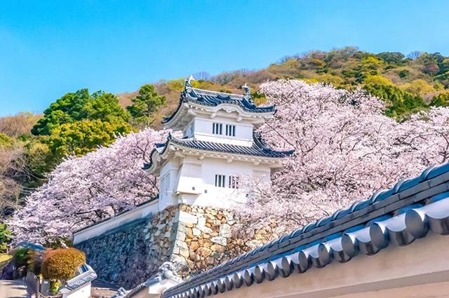 日本重接外国游客，24日起少人数旅行团可入境