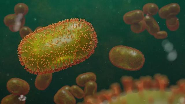 “专业养蛊”? 猴痘病毒可能已在英国流行多年