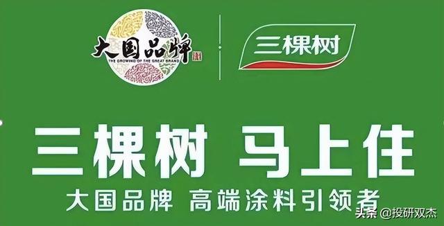 从无人问津到冲击龙头，国产健康漆的逆袭之路「竞争战略06」