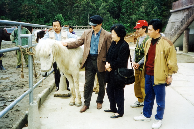 86版《西游记》幕后：导演被主角踢出剧组，白龙马惨死荒郊无人知