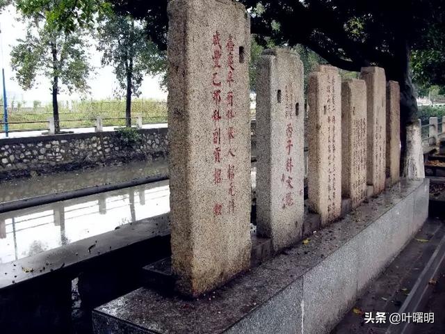 再说芳村：聚龙村上龙出血（叶曙明）