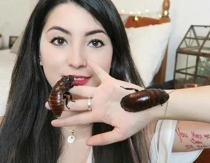 看看有没有你家乡：全国各地方言蟑螂的叫法