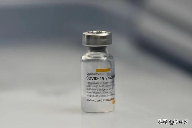 科兴生物，去年净赚955亿元