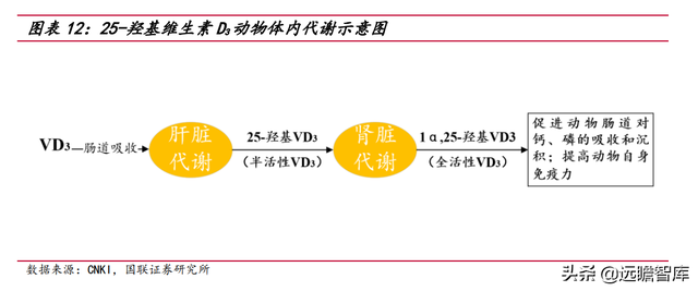 突破帝斯曼垄断：花园生物，高弹性、高成长的 VD3龙头