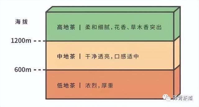 国际茶日 ▏世界各地不同的饮茶文化，你了解几个？