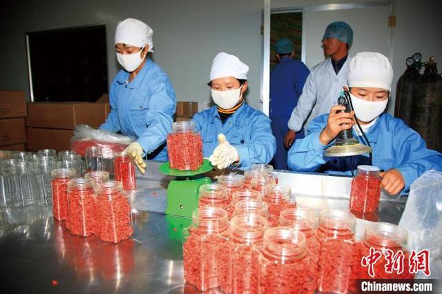 柴达木盆地基本建成绿色有机农畜产品输出地