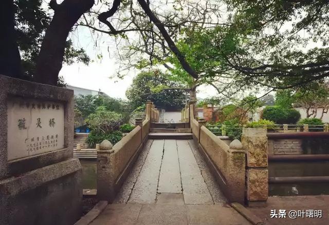 再说芳村：聚龙村上龙出血（叶曙明）