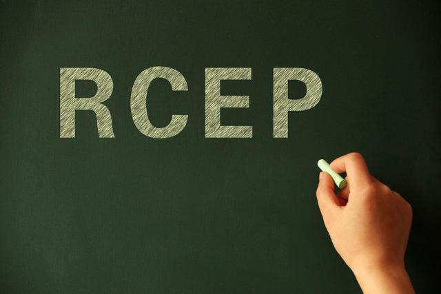 高质量实施RCEP，这半年江苏有哪些“妙招”？