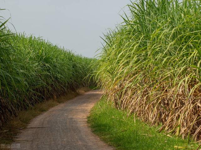 泰国精英签只有精英能办理吗？其实也很适合这几类人「三象移民」