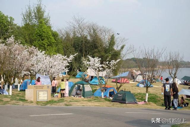 全国第二，成都露营太卷了，装备鄙视链浮出水面？