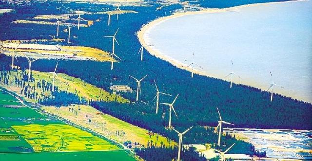 深度关注｜抢占蓝碳国际制高点