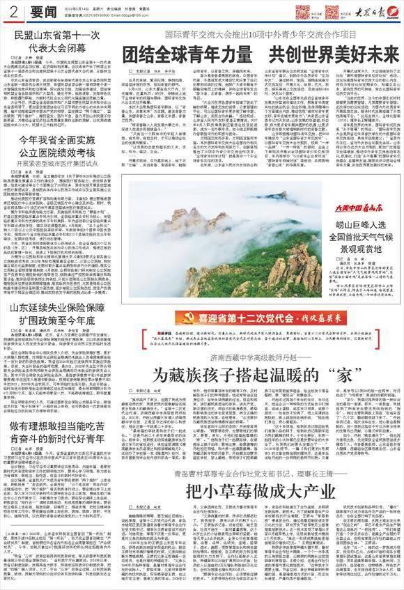 我从基层来丨把小草莓做成大产业