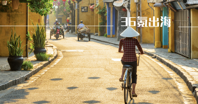 全球化手册·越南篇｜揭面，越南是一个怎样的国家？