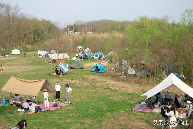 全国第二，成都露营太卷了，装备鄙视链浮出水面？