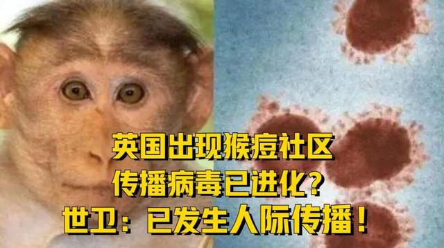 新加坡无法做到将猴痘拒之国门之外，已在欧洲大规模社区传播