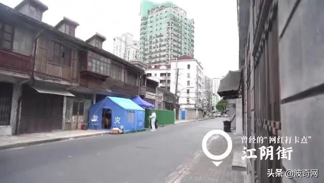 “居家”措施一个多月，曾经繁华的人民广场被流浪猫们占领啦