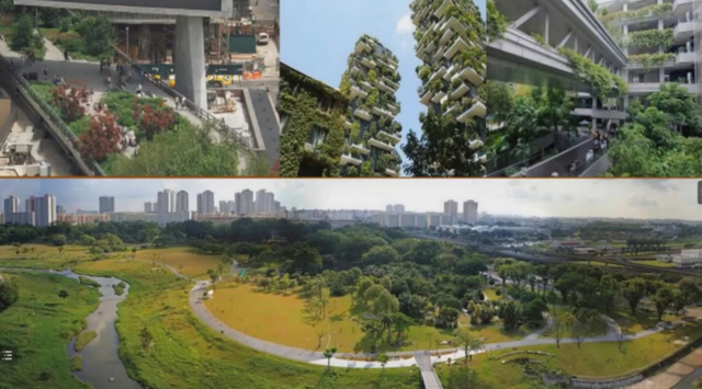 邓国辉：新加坡如何进行韧性景观系统管理？