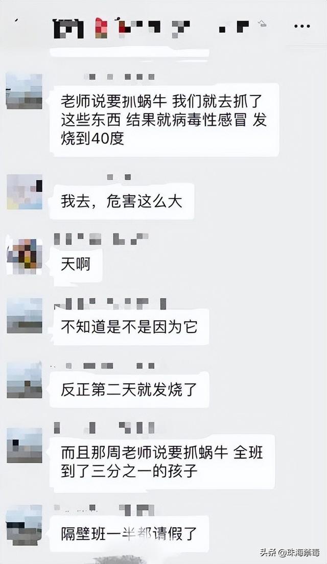 10岁男孩脑长虫，全班三分之一的学生因病请假，广东小区遍地都是...