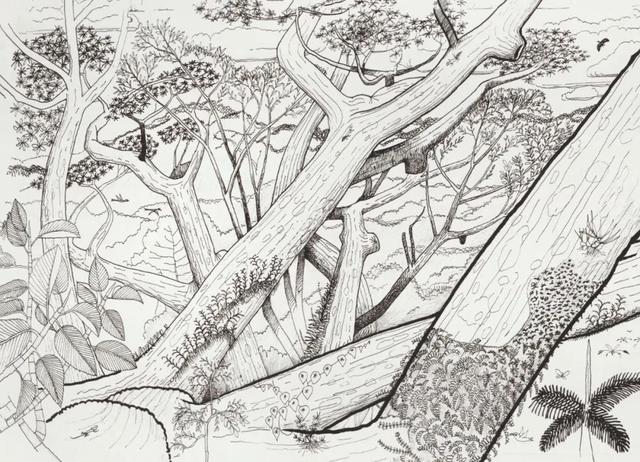 “树，树”展览