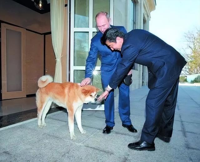 躁动的日本丨大新闻大历史