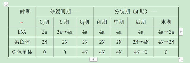 高中生物-细胞的生命历程