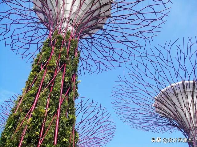 #设计鉴赏#——花园&新加坡海湾超级花园