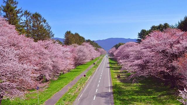 日本重接外国游客，24日起少人数旅行团可入境