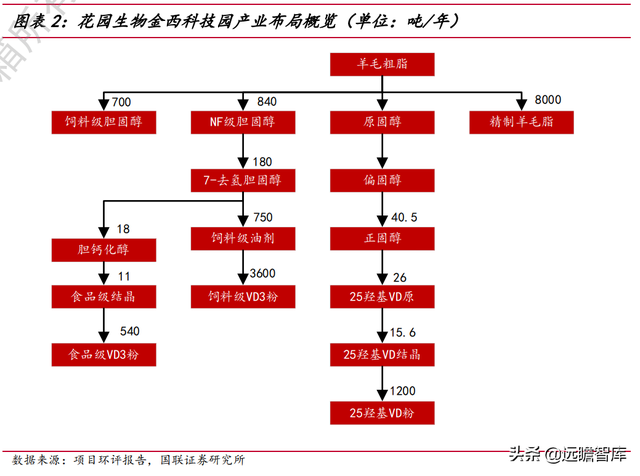 突破帝斯曼垄断：花园生物，高弹性、高成长的 VD3龙头