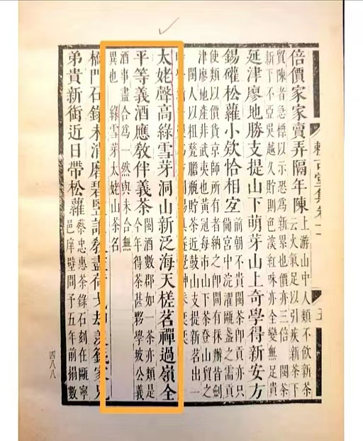 非遗里的闽人智慧｜古法天成的福鼎白茶