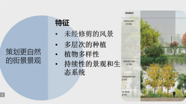 邓国辉：新加坡如何进行韧性景观系统管理？