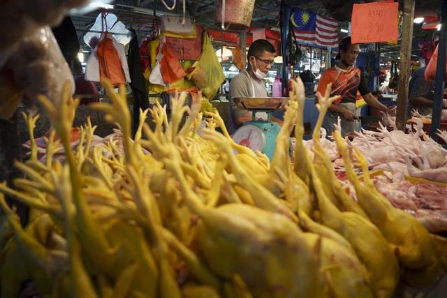 马来西亚宣布停止鸡肉出口，新加坡人恐吃不上新鲜鸡肉饭