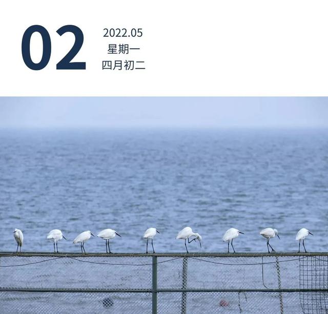 广东5月1日起休渔 | 早安广东