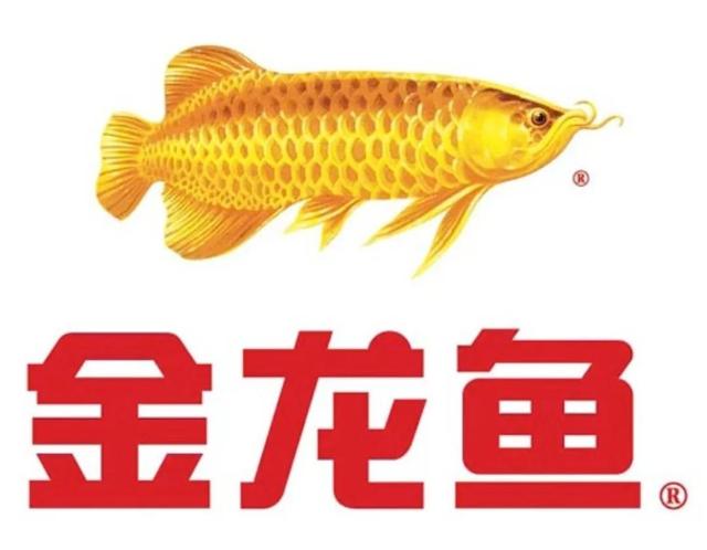 金龙鱼，引发的思考