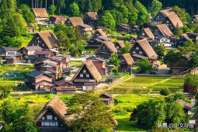 官宣：中国人6月1日起入境日本免核酸免隔离，6月10日可访日旅游