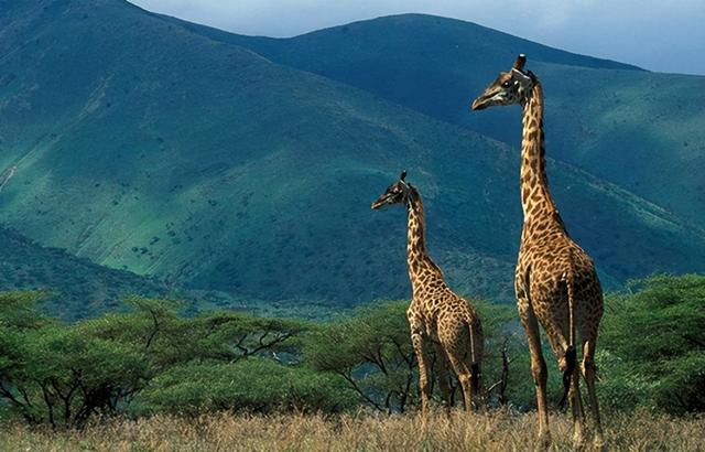 日本5月中试办小型观光团入境，首批针对东南亚开放