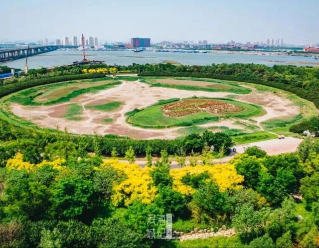 终于来啦！中新天津生态城将新建两座大型体育场