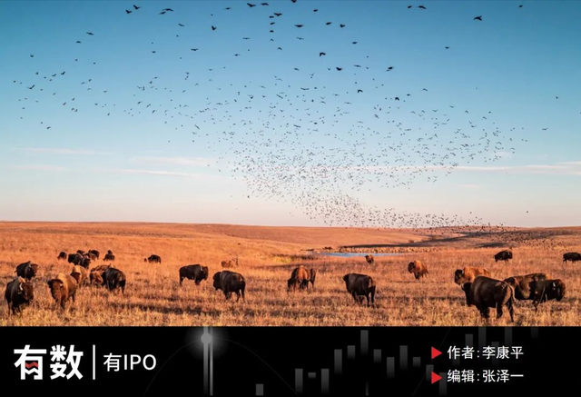 利润率暴打蒙牛伊利，养奶牛比卖牛奶更赚钱吗？
