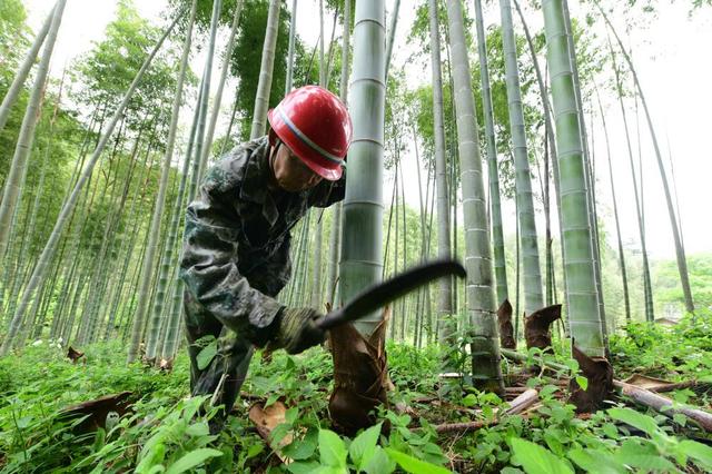 非遗里的闽人智慧 | 将乐古法造纸的技艺魅力与传承坚守