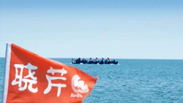 带你领略“晓芹”风采