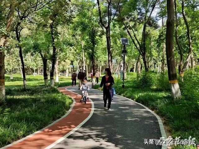 早新闻 5.24｜油价或迎年内“第9次”上涨；北京海淀1800余人转运张家口集中隔离