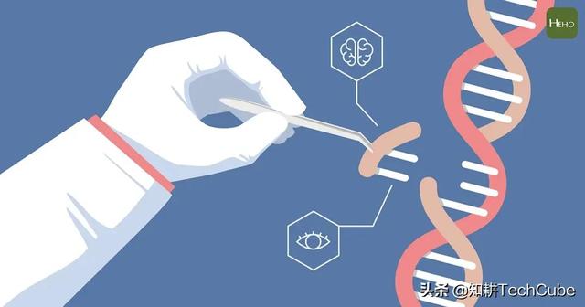 柯泰亚生物获超亿元人民币A轮融资NanoBio Designs获十万美元投资